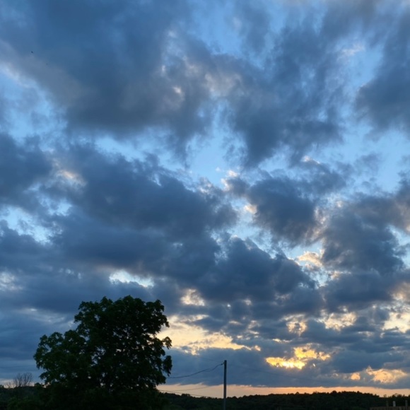 Meet your Posher, Tylèr - Picture 1 of 1